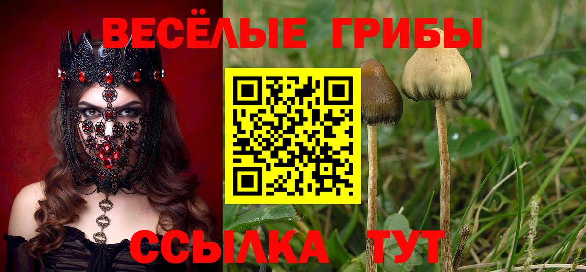Ачхой-Мартан  Галлюциногенные грибы ЛСД  Галлюциногенные грибы GOLDEN TEACHER  Вход с VPN 